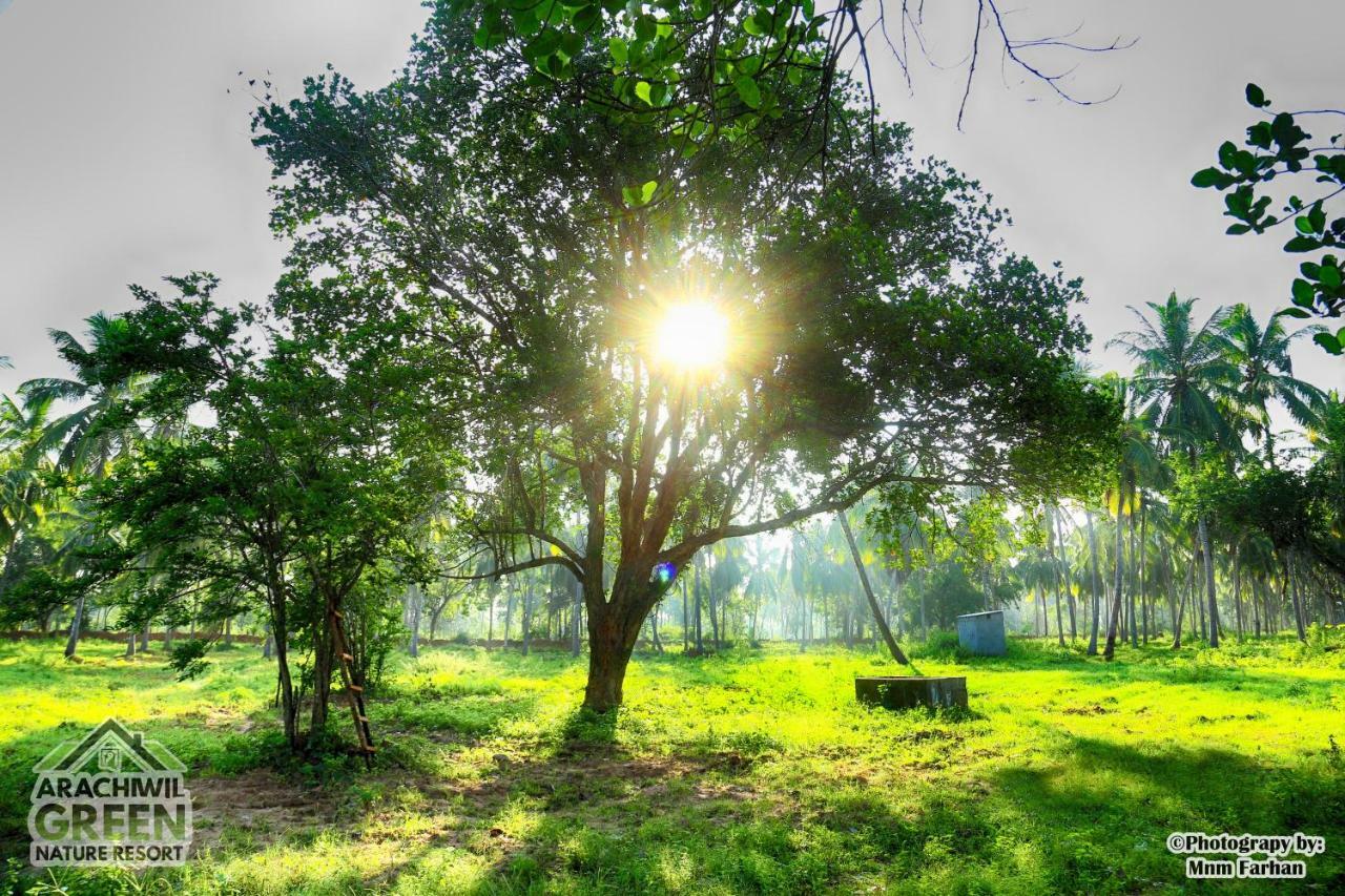 Arachiwil Green Nature Resort Puttalam Exterior photo